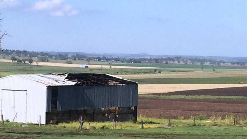 Hay shed with missing sheets of corrugated iron after strong winds during yesterday's storm ripped them off.