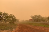 Dust fills the air above a red dusty country road with trees either side of it