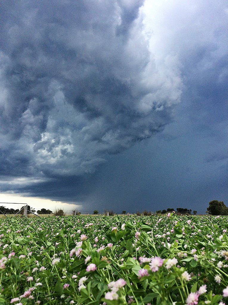 Storms at Bool Lagoon