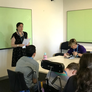 A woman standing up in front of workshop participants.