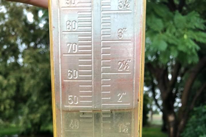A rain gauge being held up showing nearly 50mm of rain