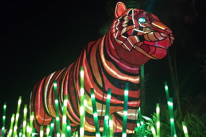 A tiger light installation at Taronga Zoo