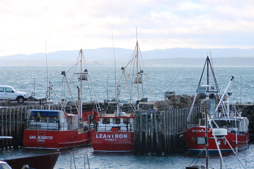 Tough times for Tasmanian rock lobster fishermen