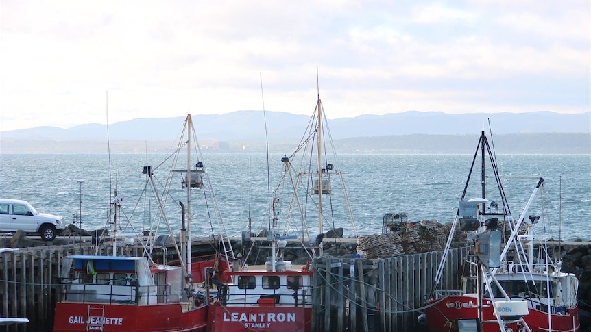 Tough times for Tasmanian rock lobster fishermen