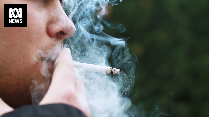 Das britische Unterhaus verabschiedet einen Gesetzentwurf, der allen nach 2009 Geborenen den Kauf von Zigaretten verbietet