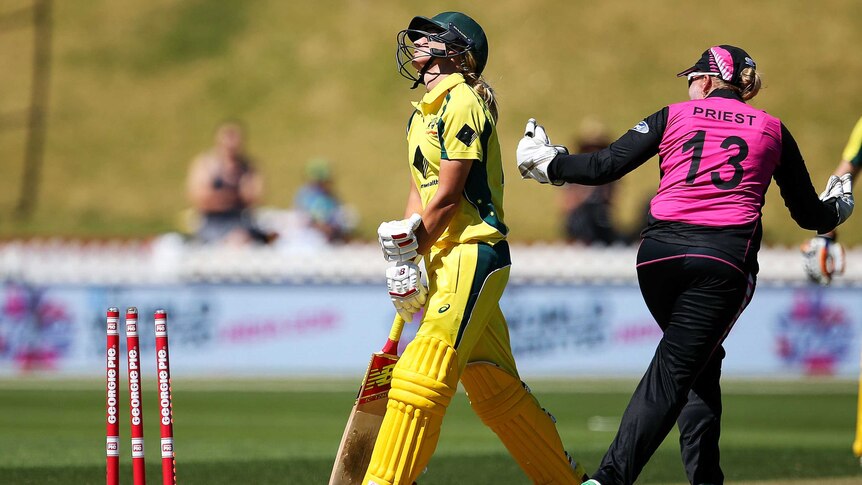 NZ's Rachel Priest celebrates wicket of Australia's Meg Lanning in T20 international in Wellington.