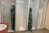 Four side-by-side shower cubicles with shower curtains. The floor in the bathroom is discoloured
