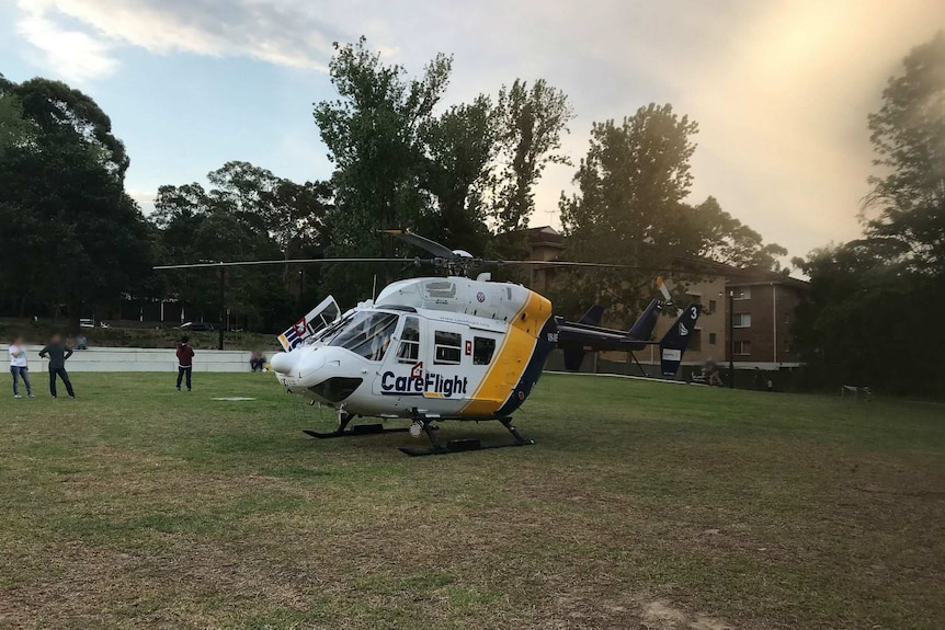 A helicopter lands at a park