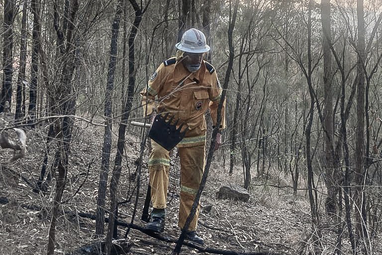 A man wearing yellow overalls, white helmet carries a rake in burnt out bushland.