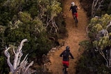 Riders on a trail at Maydena mountain bike park, Tasmania.