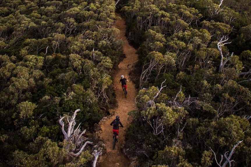 Riders on a trail at Maydena mountain bike park, Tasmania.