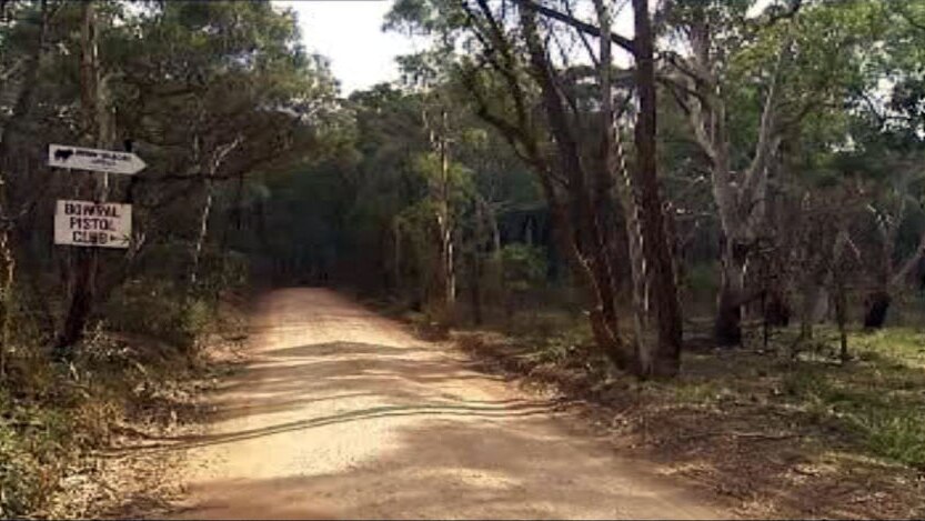 The Belanglo State Forest