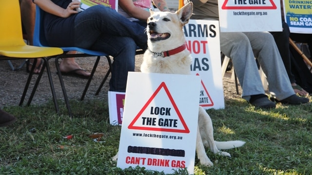 "Sam" was part of today's Lock The Gate protest at Dart Energy's Fullerton Cove coal seam gas drill site.