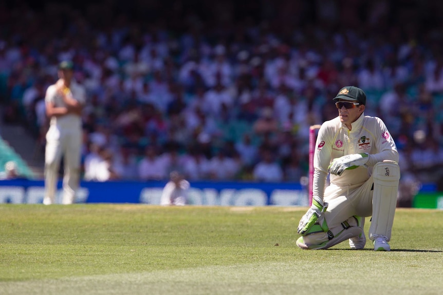 Tim Paine crouches on one knee, watching a ball roll towards the boundary in the distance.