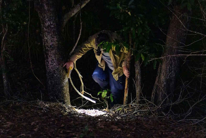 Dr Greg Brown walks through scrub at night at Fogg Dam.