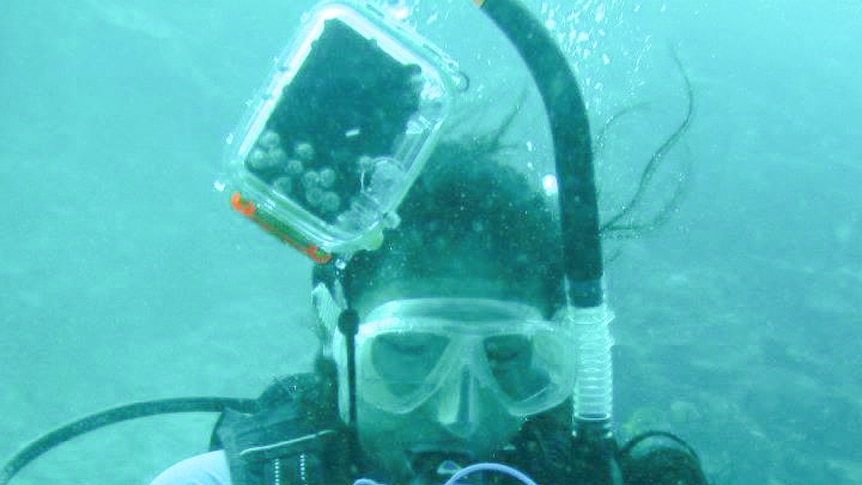 Ember Corpuz takes some notes as part of her underwater research.