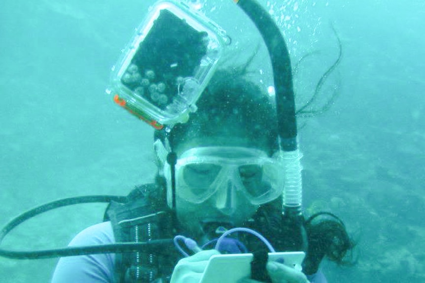 Ember Corpuz takes some notes as part of her underwater research.