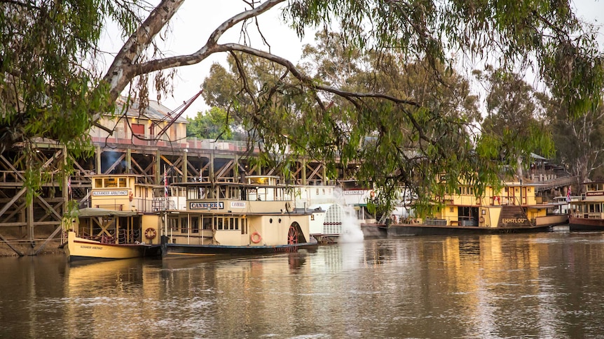 It is dawn and the sun is shining on the paddleboats that are berthed at the Port of Echuca.