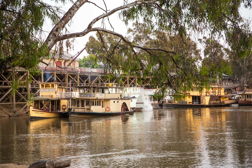 It is dawn and the sun is shining on the paddleboats that are berthed at the Port of Echuca.