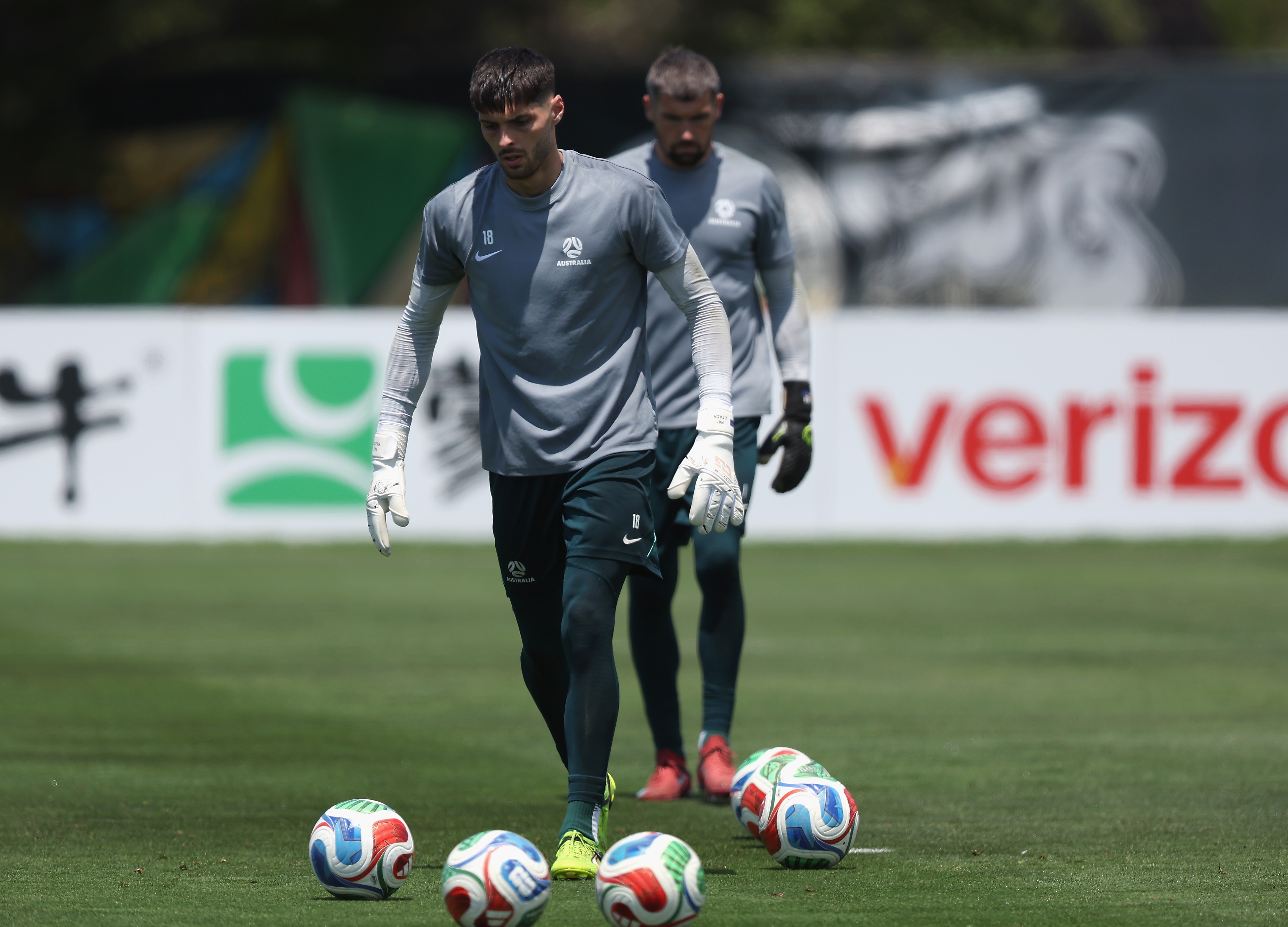 Socceroos should make 'harsh' call for final group game, Schwarzer says