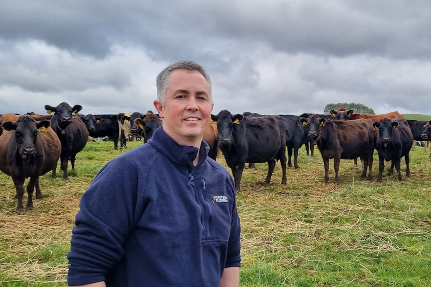 A man stands in front of cows in a paddock and smiles