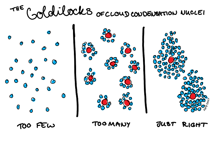 too few = no clumping of H20 = no rain, too many = lots of little clumps none heavy enough to make it rain, just right = rain