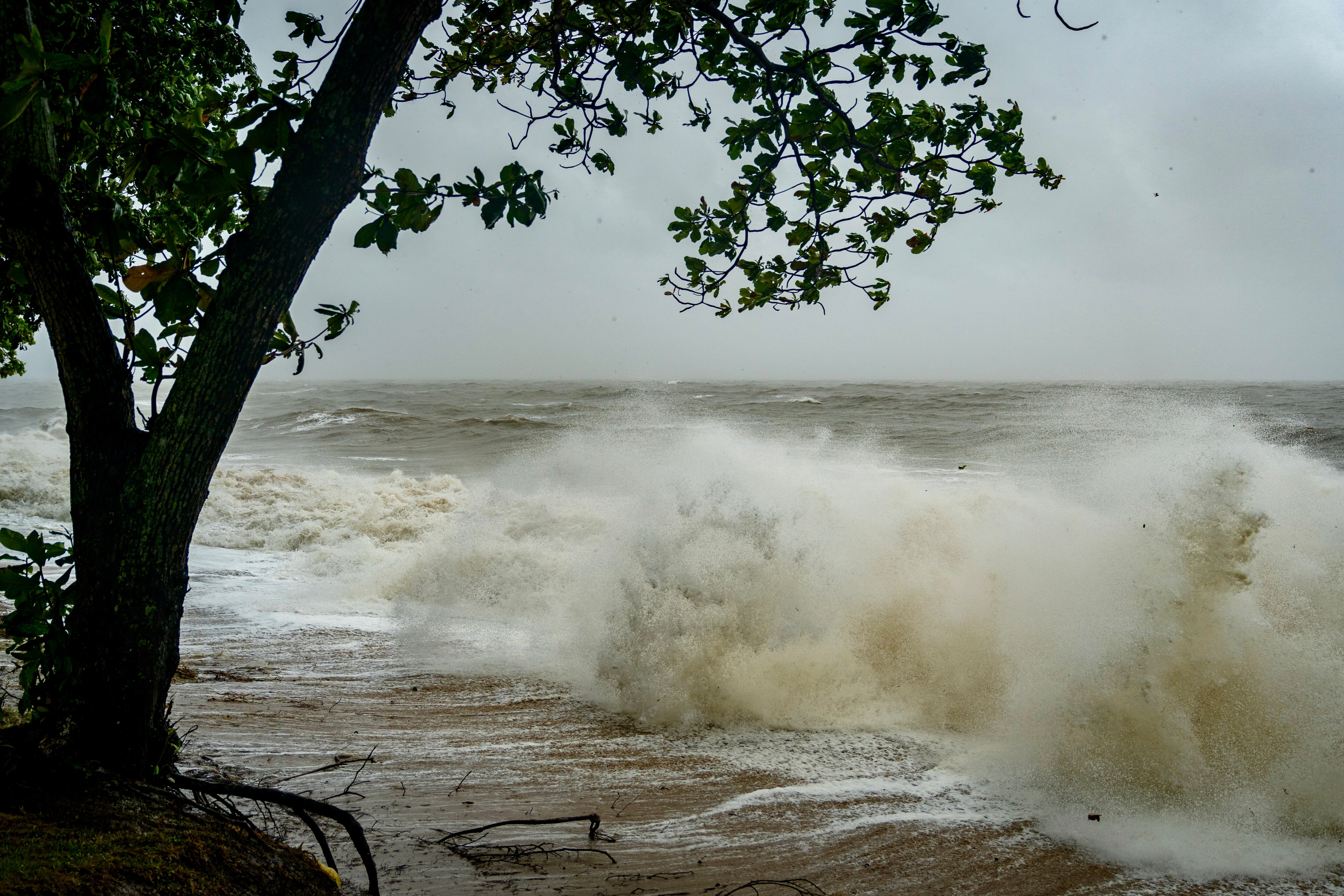 New weather modelling predicts Cyclone Alfred's arrival