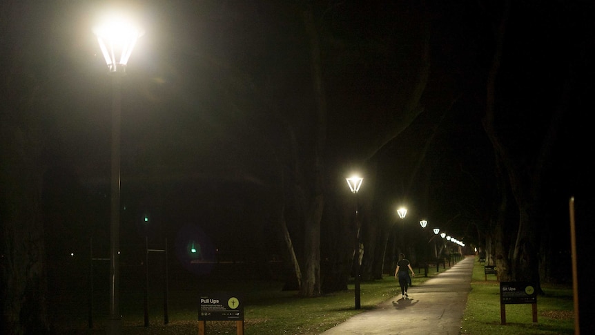 A number of street lights next to a walking and running path in a park