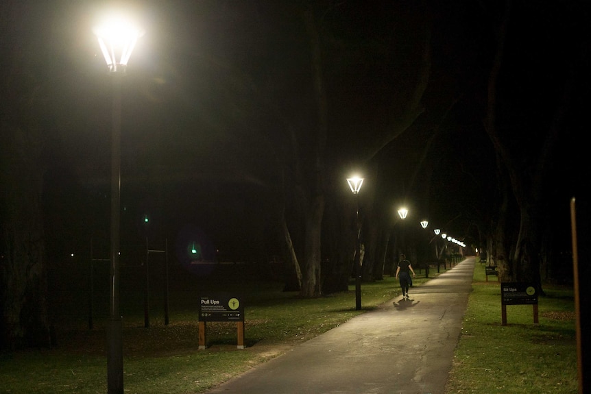 A number of street lights next to a walking and running path in a park