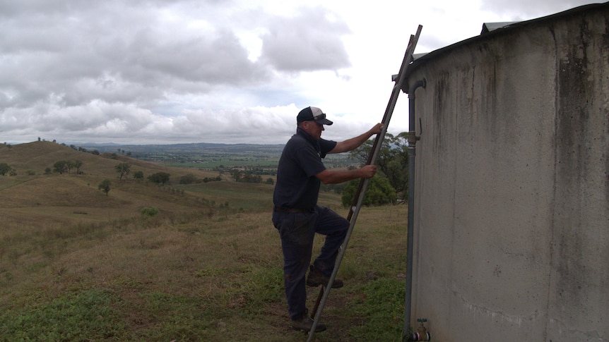 A stud farm worker climbs a ladder up a water tank.