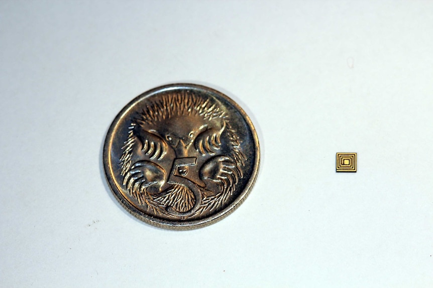 Sensor and coin
