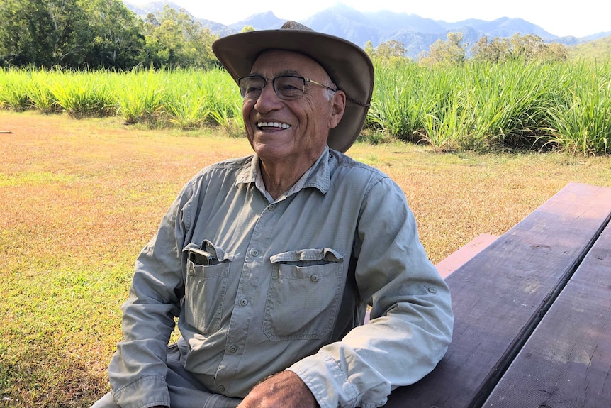 An older grower sits in front of a young cane crop with the Great Dividing Range in the background