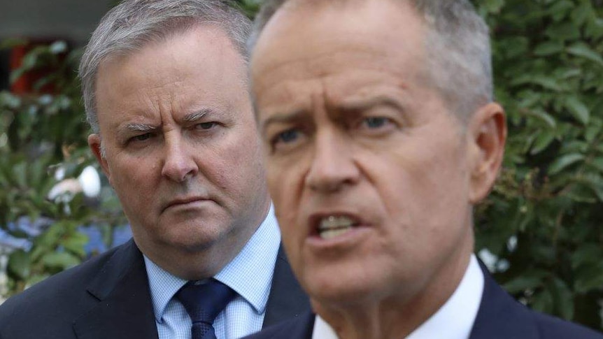 Anthony Albanese stands behind Labor leader Bill Shorten at a press conference.