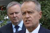 Anthony Albanese stands behind Labor leader Bill Shorten at a press conference.