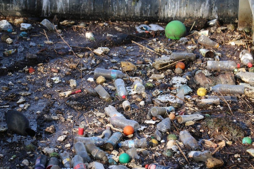 Plastic bottles, cans and other rubbish caught in the litter traps laid along the Yarra River.