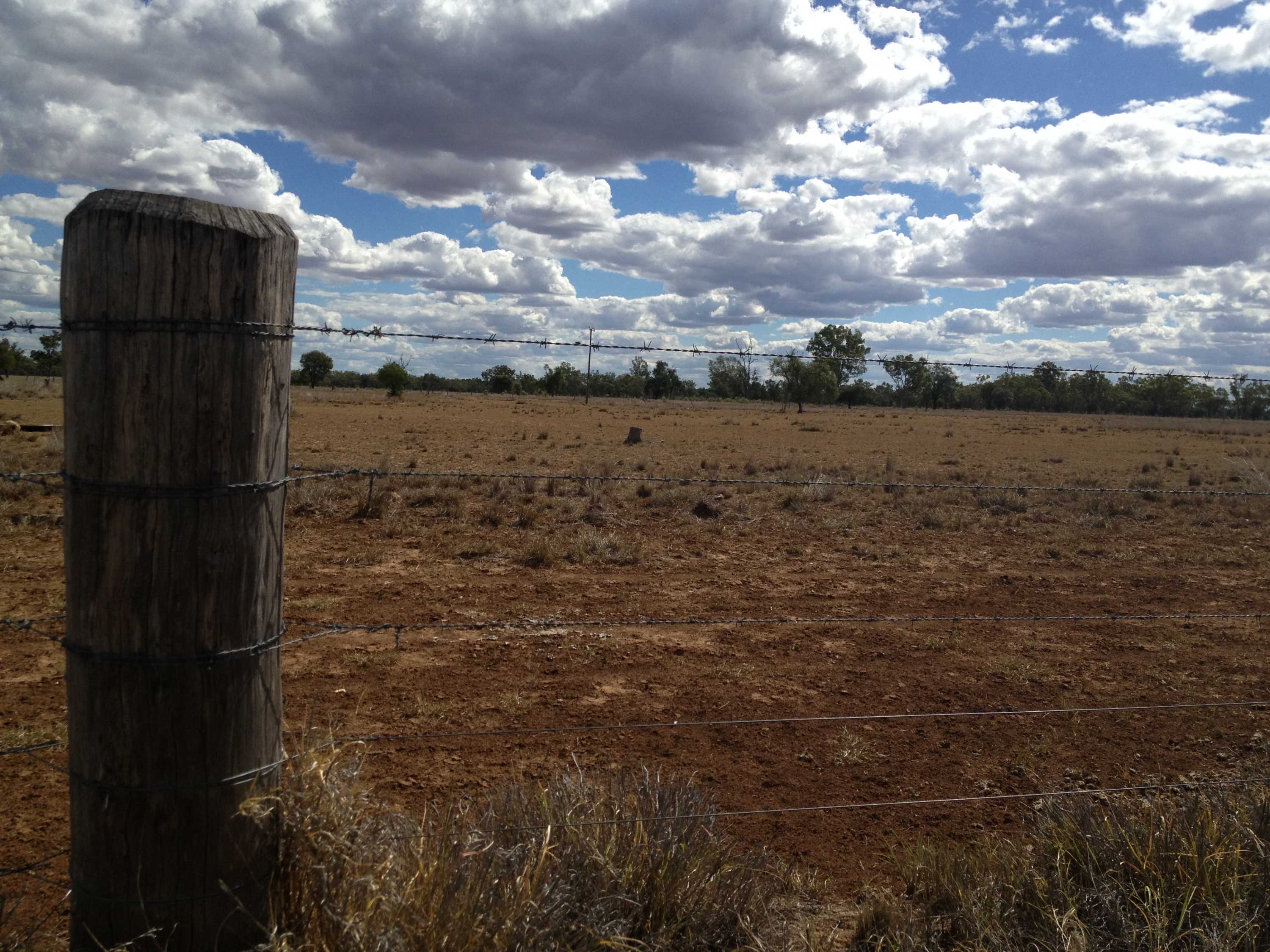 No drought-breaking rain for Queensland before the end of 2014 - ABC News