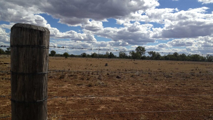 Dry landscape between Augathella and Charleville in south-west Queensland