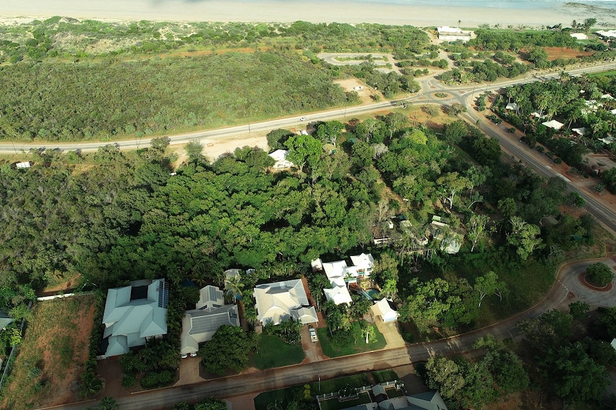 An aerial view of a lush green park area, with some buildings visible
