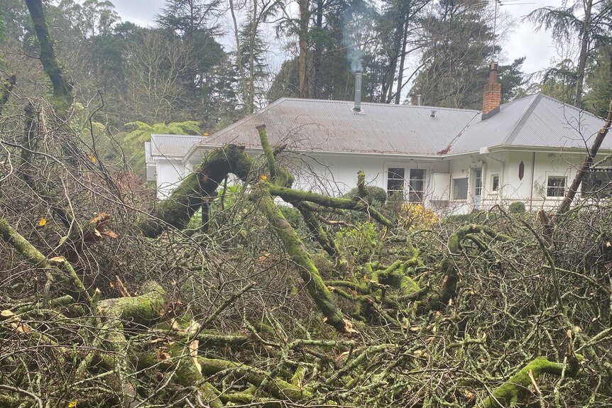 Fallen branches block access to a large white home with a chimney nestled in the Dandenong Ranges.
