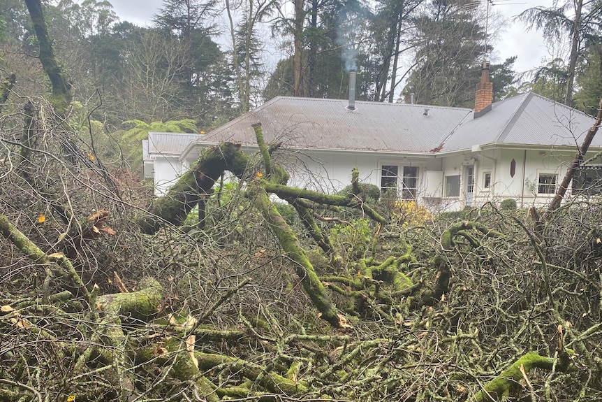 Fallen branches block access to a large white home with a chimney nestled in the Dandenong Ranges.