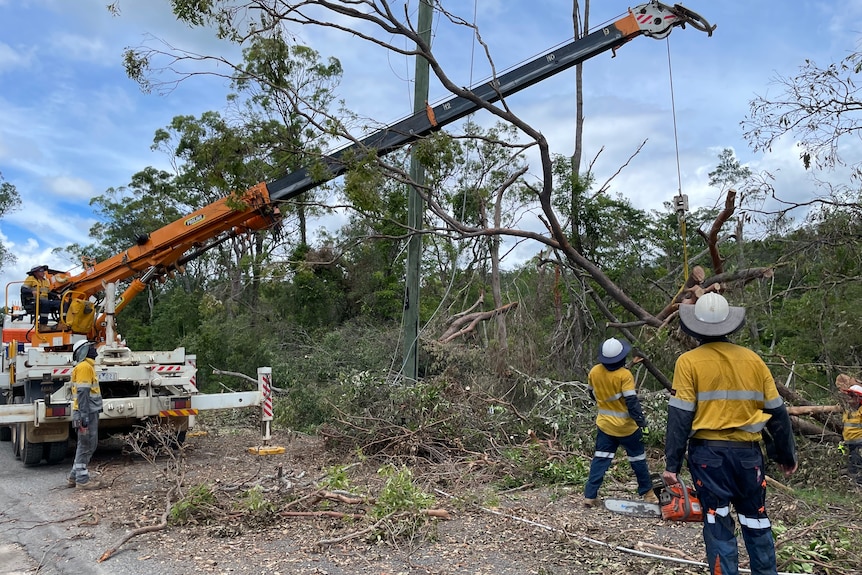 engergex workers using a crane to lift a fallen tree