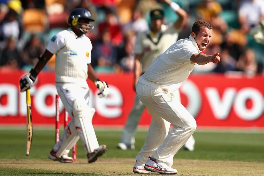 Dodgy decision... Peter Siddle successfully appeals for the wicket of Rangana Herath.