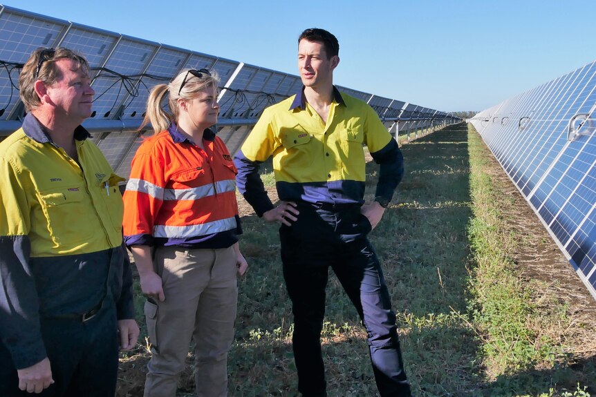 Two men and one woman stand together looking at a row of solar panels. There are in high vis.