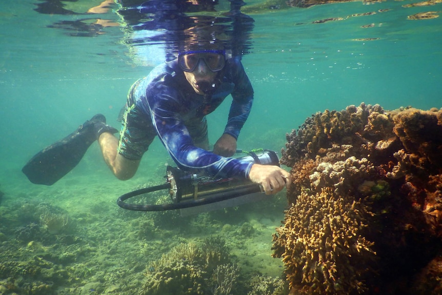 A man snorkling underwater holding a device