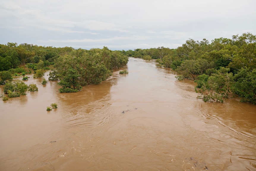 Flooding in the Katherine River, with water rising up to the canopies of some trees near the river.