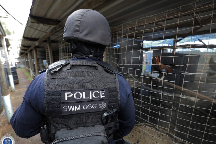 Un policier à côté d'une cage