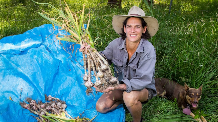 Annabel Kater kneels next to her garlic crop.