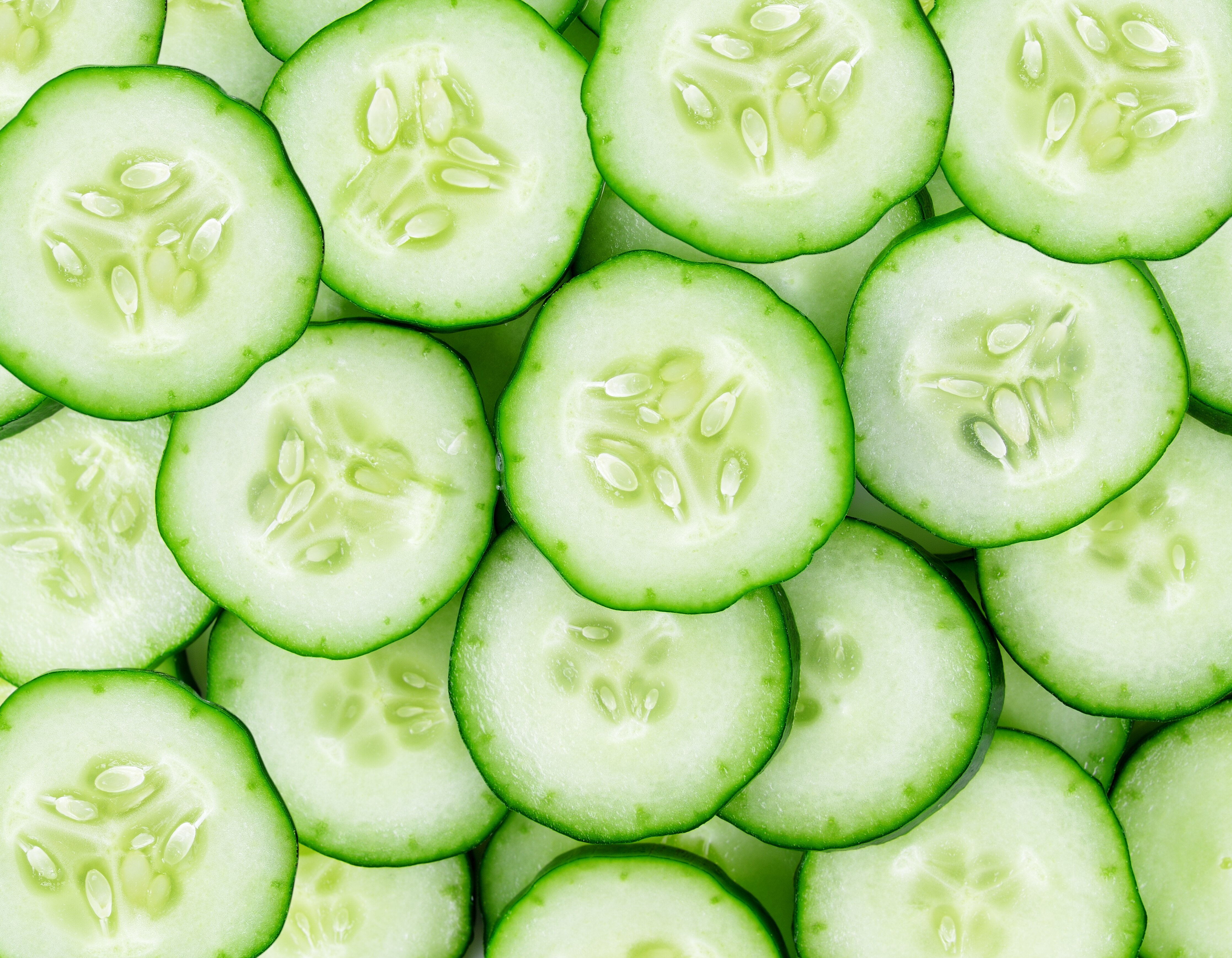 How to grow, store and eat cucumbers
