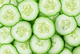 Slices of cucumber, the slicing variety that are commonly eaten raw in salads and as snacks.
