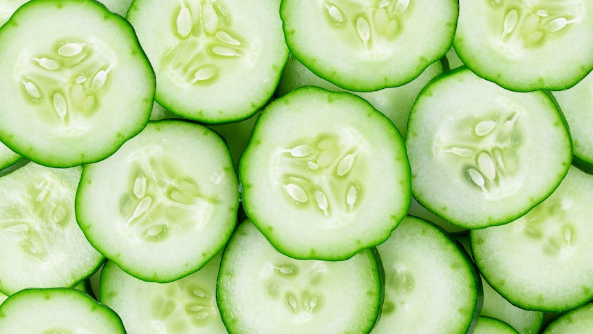 Slices of cucumber, the slicing variety that are commonly eaten raw in salads and as snacks.